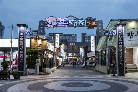 제주시 맛집: 바다와 산의 맛을 한 입에